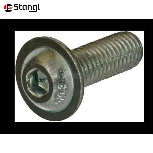 FORSTREICH LINSENFLACHSCHRAUBE M6 × 10 FÜR TR 30 AQ UND TR 300