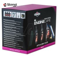 ARNOLD MOTOR WARTUNGSKIT FÜR BRIGGS & STRATTON MODELLE 28 & 31