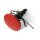 ARNOLD EASY-ZONE AR20 ROT