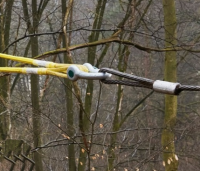 Baumzugseil FTF 2,5 to Nordforest , 12 Meter , Stärke 13mm